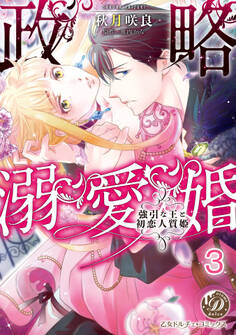 政略溺愛婚~強引な王と初恋人質姫~【分冊版】3