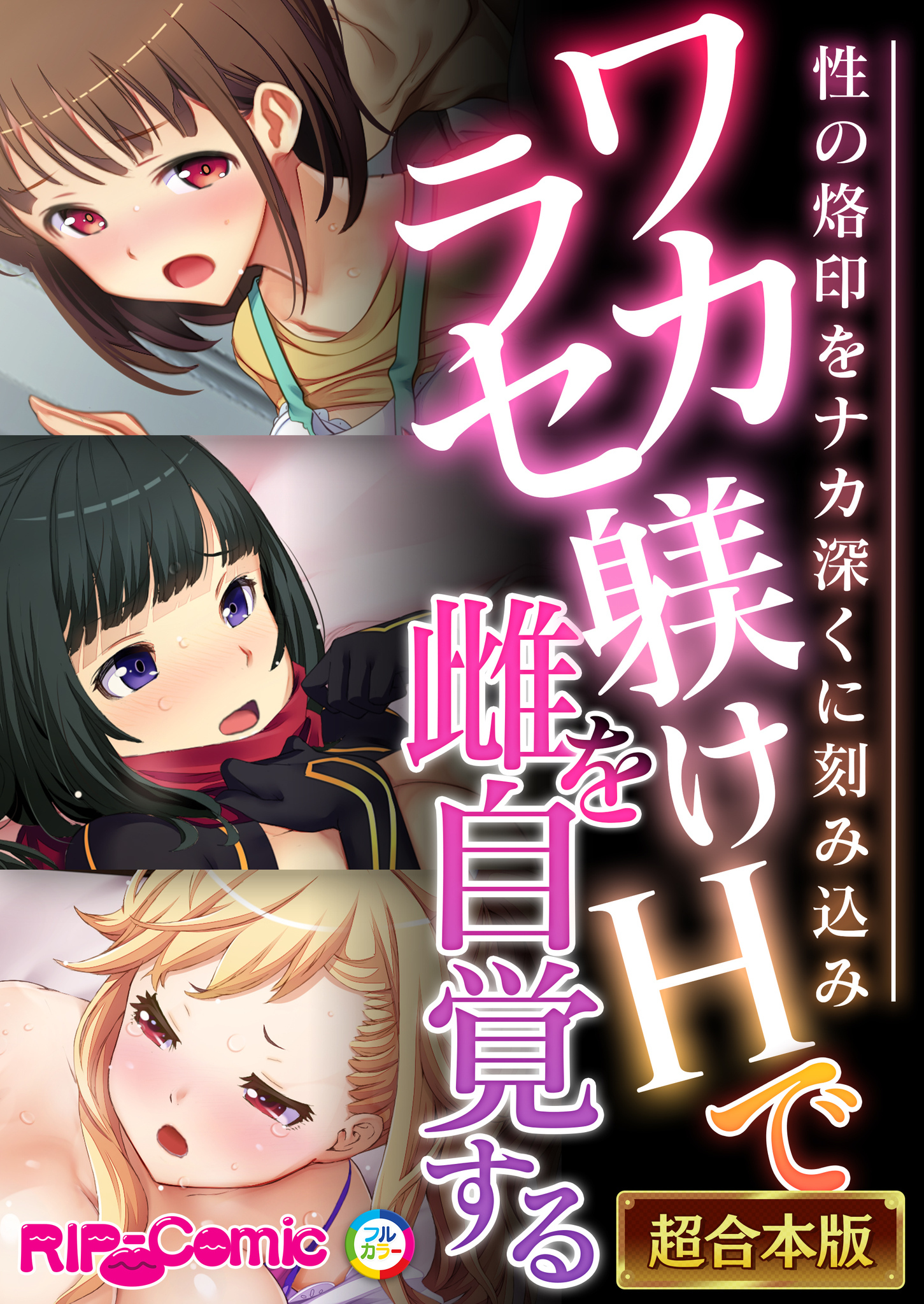 ワカラセ躾けHで雌を自覚する ～性の烙印をナカ深くに刻み込み～【超合本シリーズ】