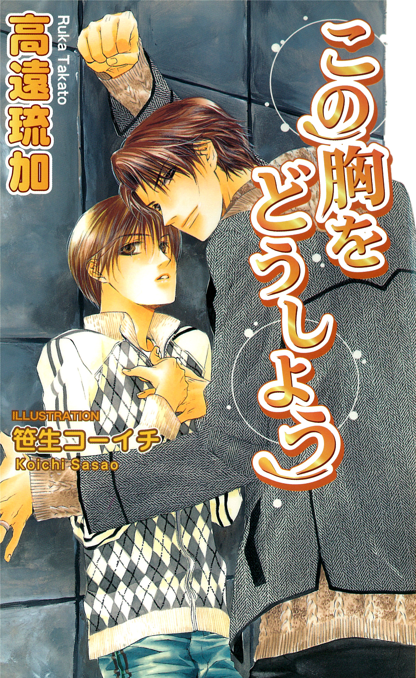 この胸をどうしよう