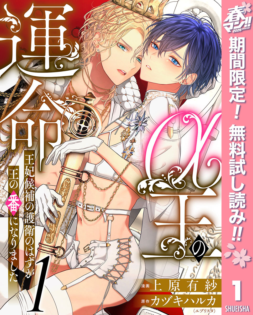 α王の運命～王妃候補の護衛のはずが王の番になりました～