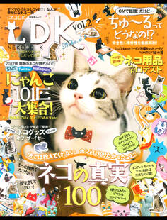 晋遊舎ムック ネコDK vol.2