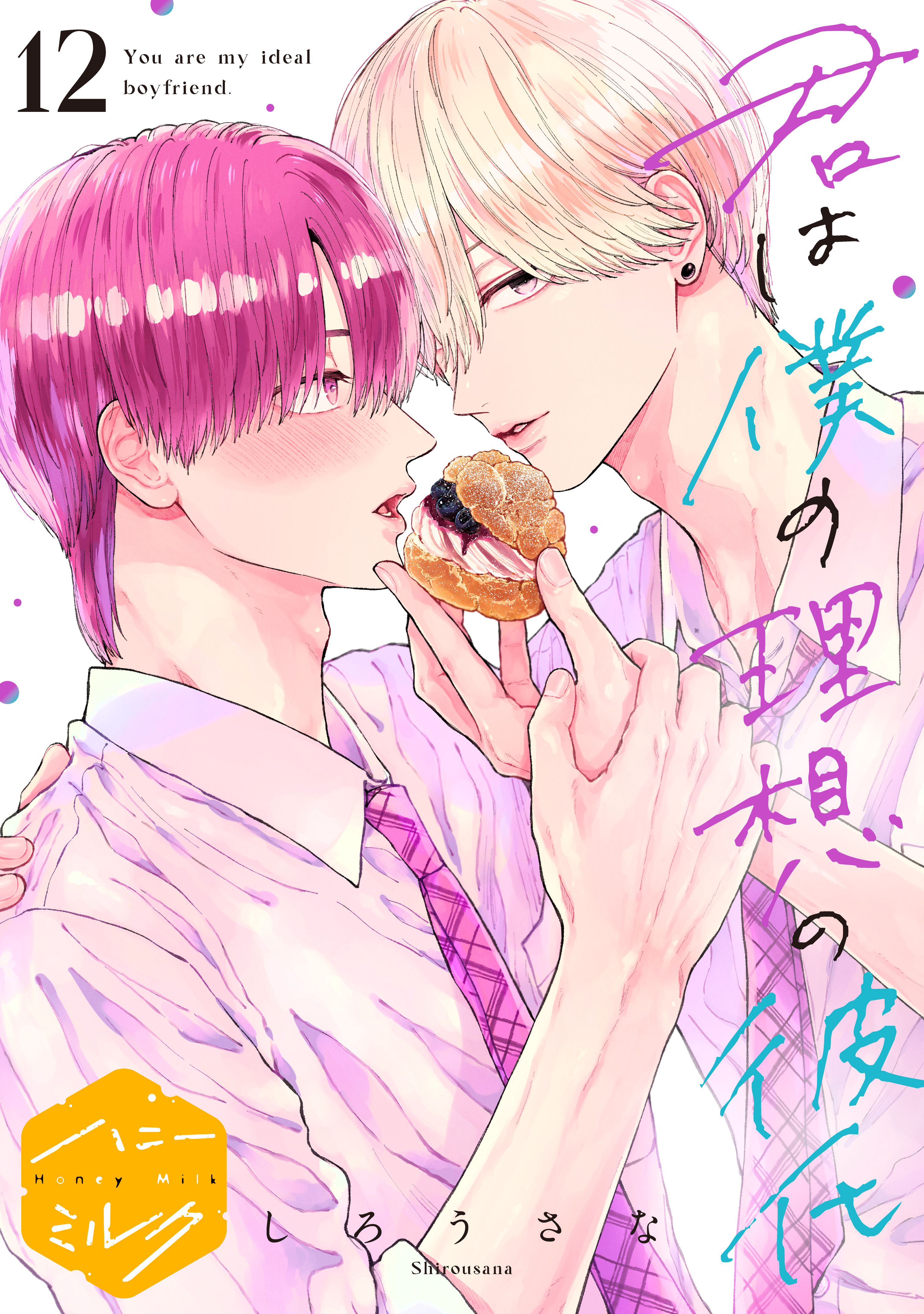 君は僕の理想の彼氏　分冊版（12）