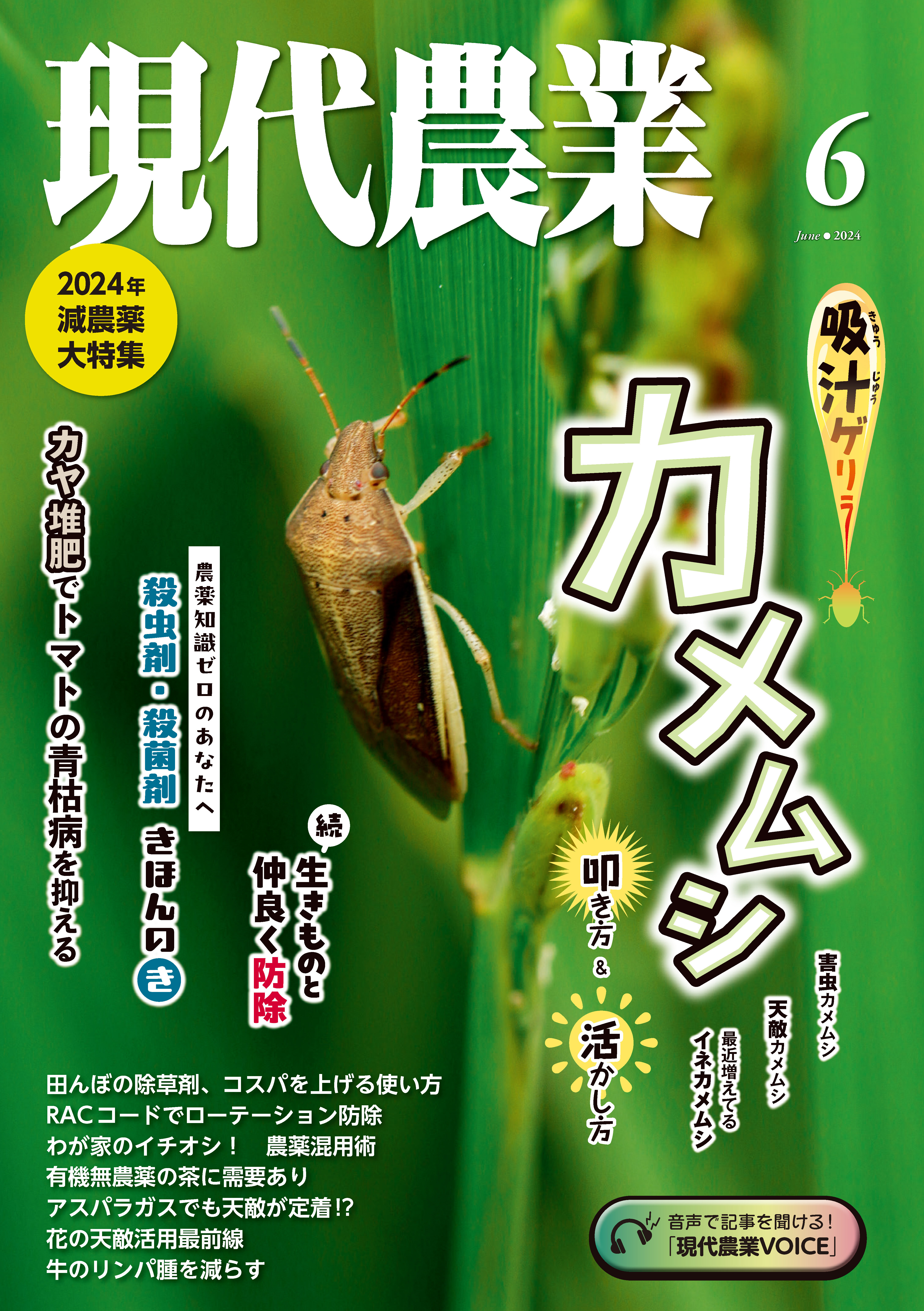 現代農業2024年6月号