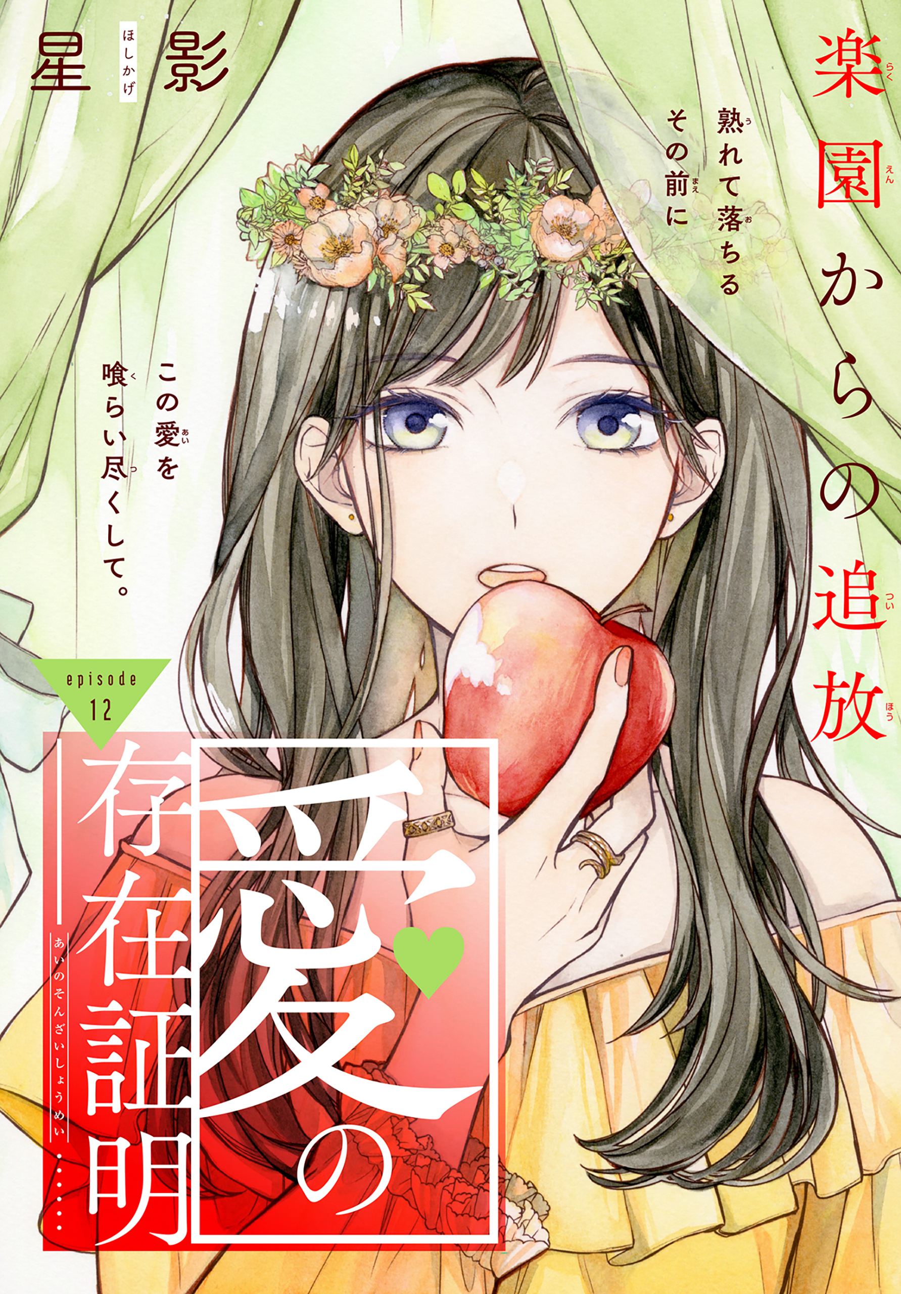 愛の存在証明［1話売り］　story12