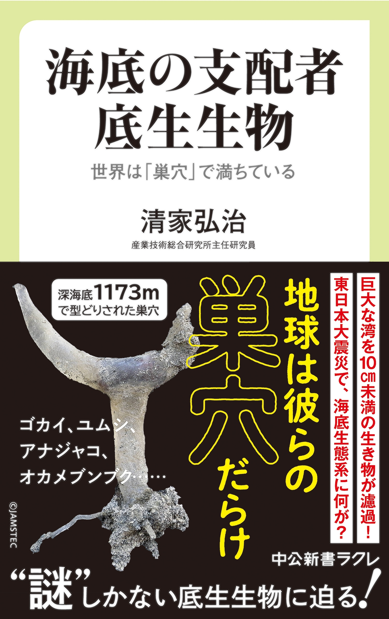 海底の支配者 底生生物　世界は「巣穴」で満ちている
