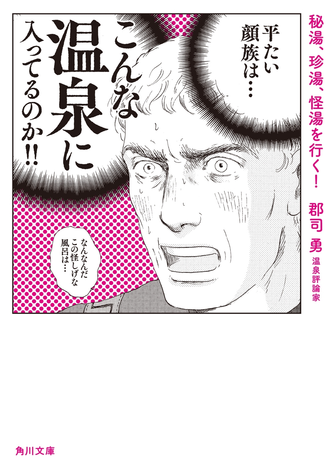 秘湯、珍湯、怪湯を行く！