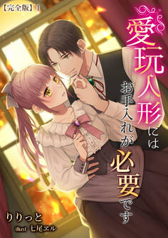 愛玩人形にはお手入れが必要です【完全版】1
