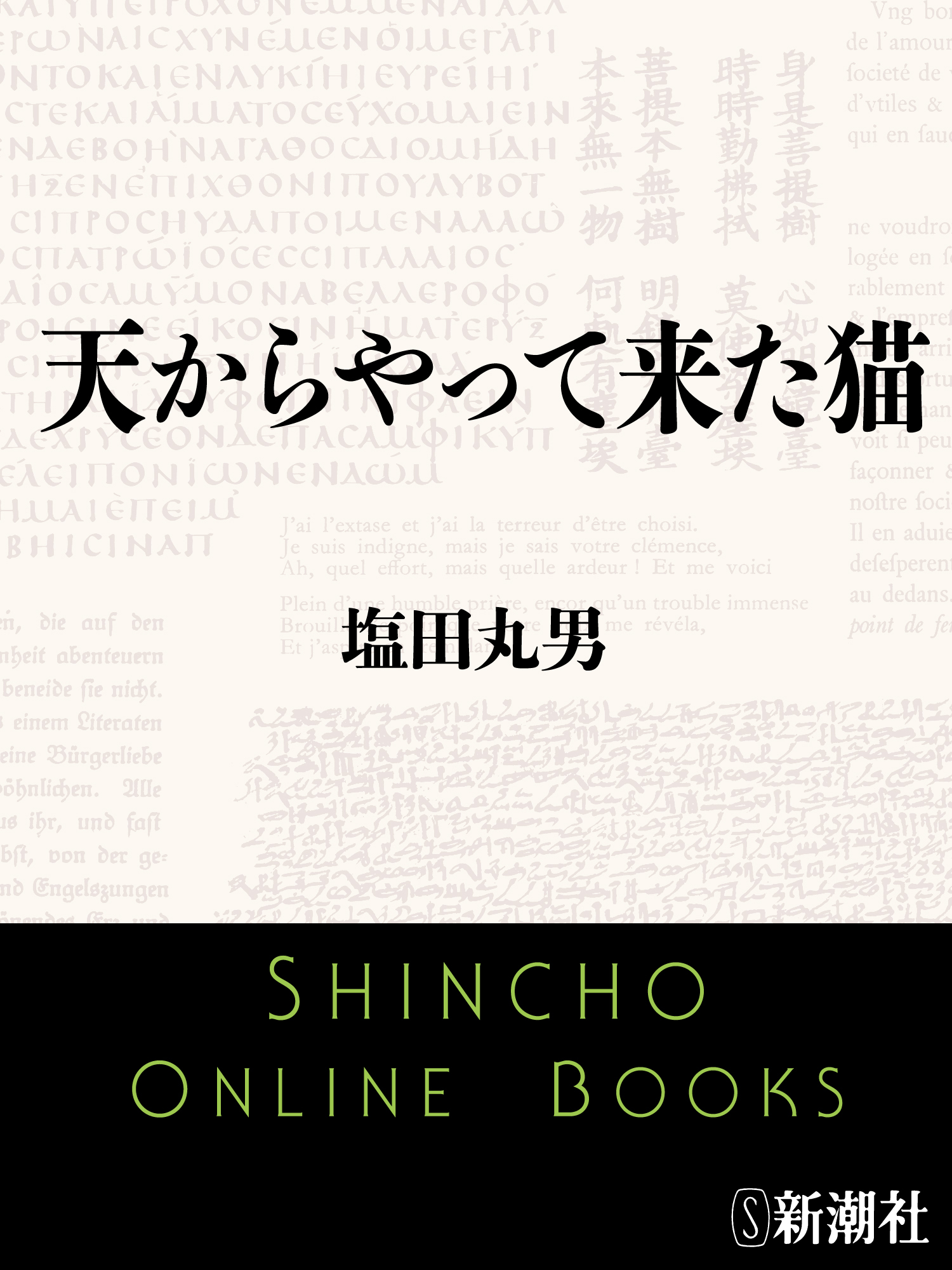 天からやって来た猫