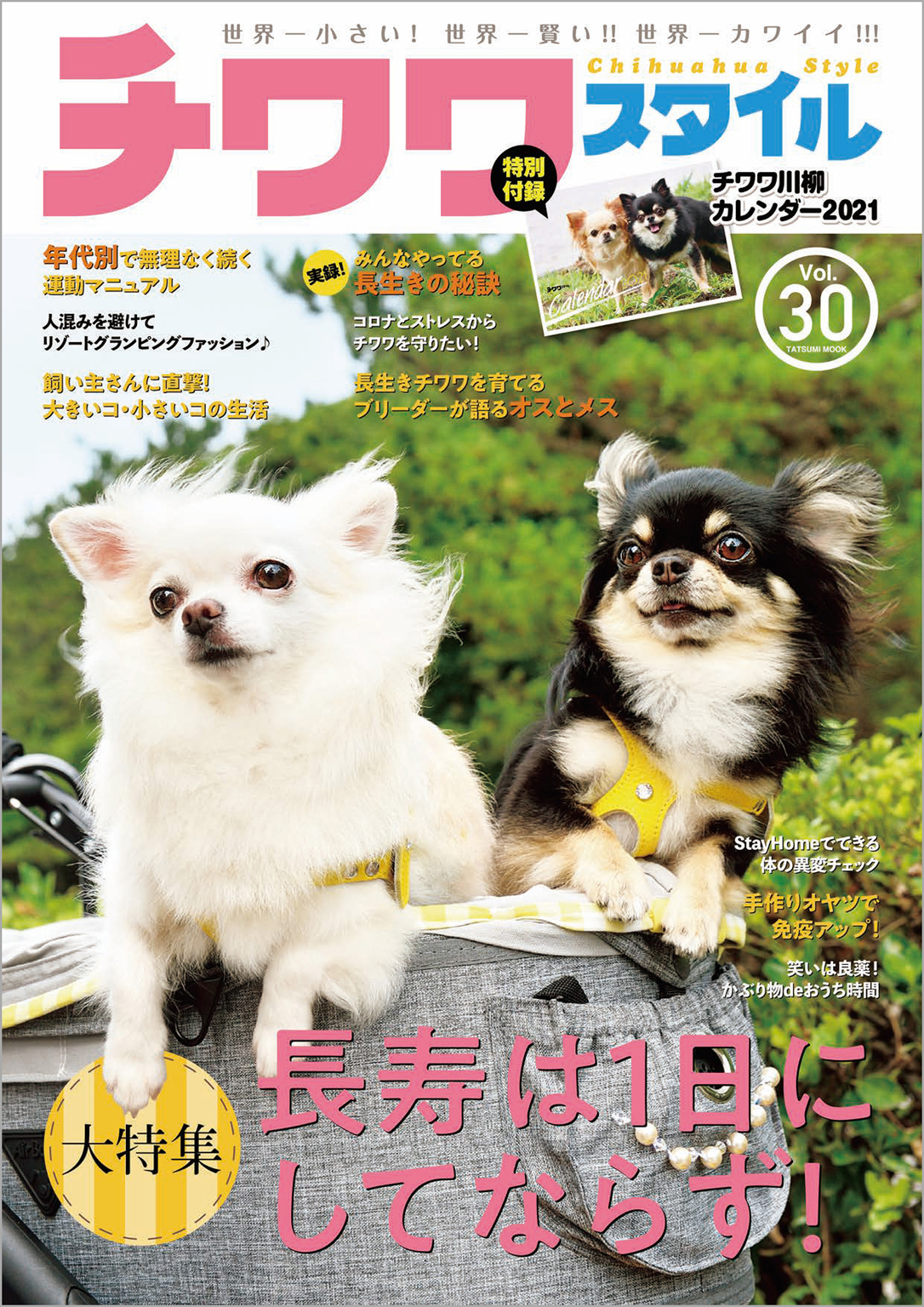 チワワスタイル　Vol.30