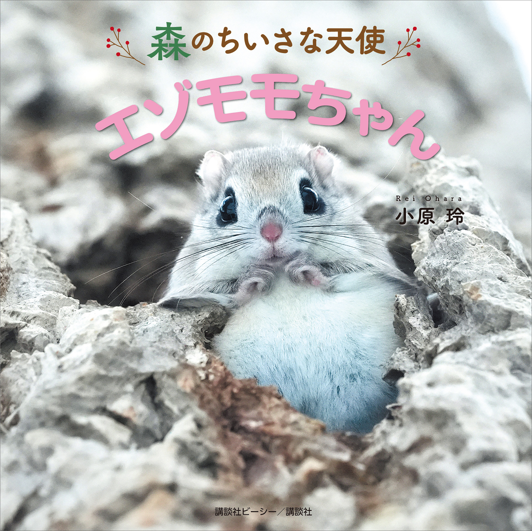 森のちいさな天使　エゾモモちゃん