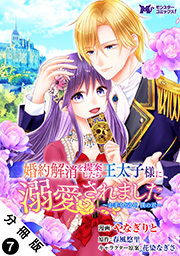 婚約解消を提案したら王太子様に溺愛されました ～お手をどうぞ、僕の君～(コミック) 分冊版 ： 7