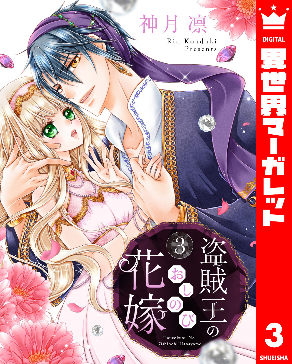 盗賊王のおしのび花嫁 3