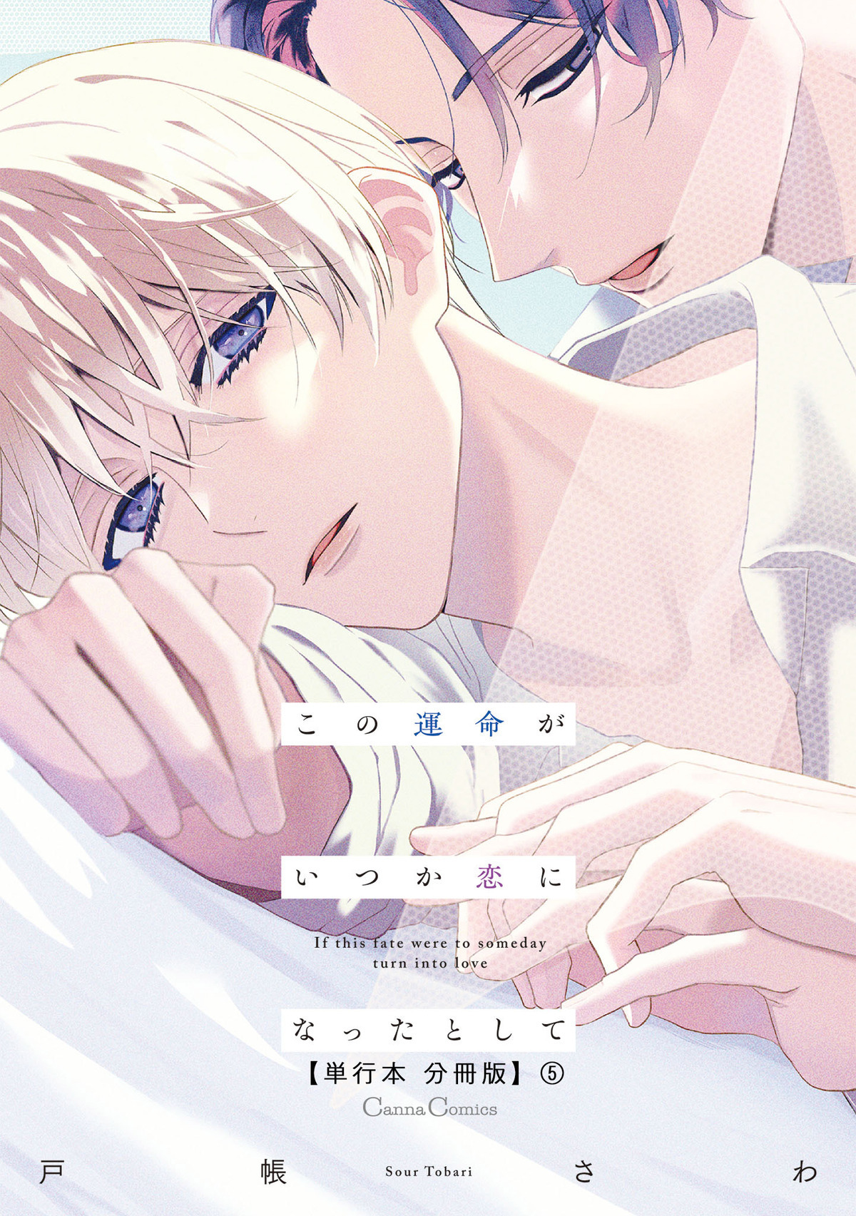 この運命がいつか恋になったとして【単行本 分冊版】５