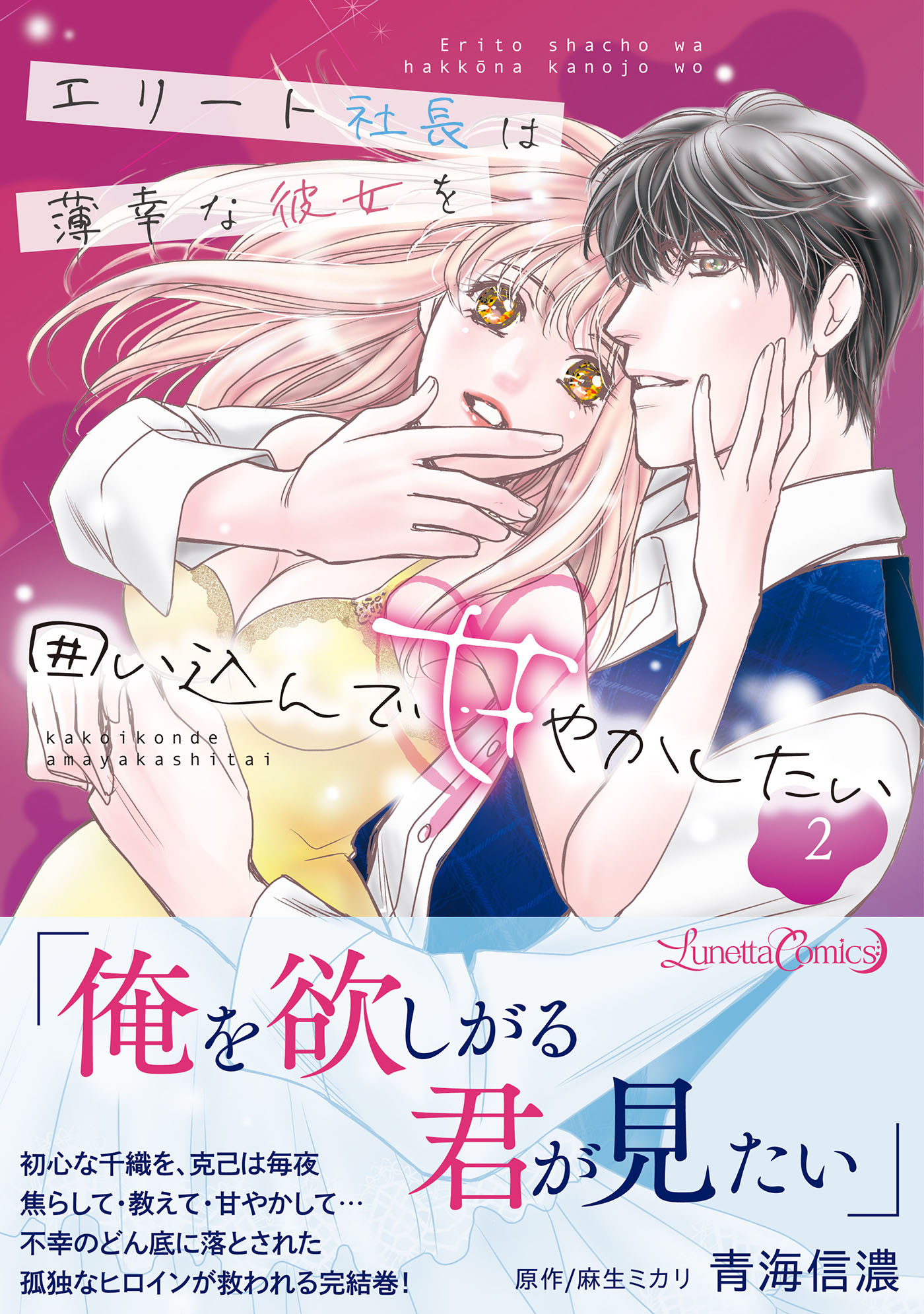 エリート社長は薄幸な彼女を囲い込んで甘やかしたい 2