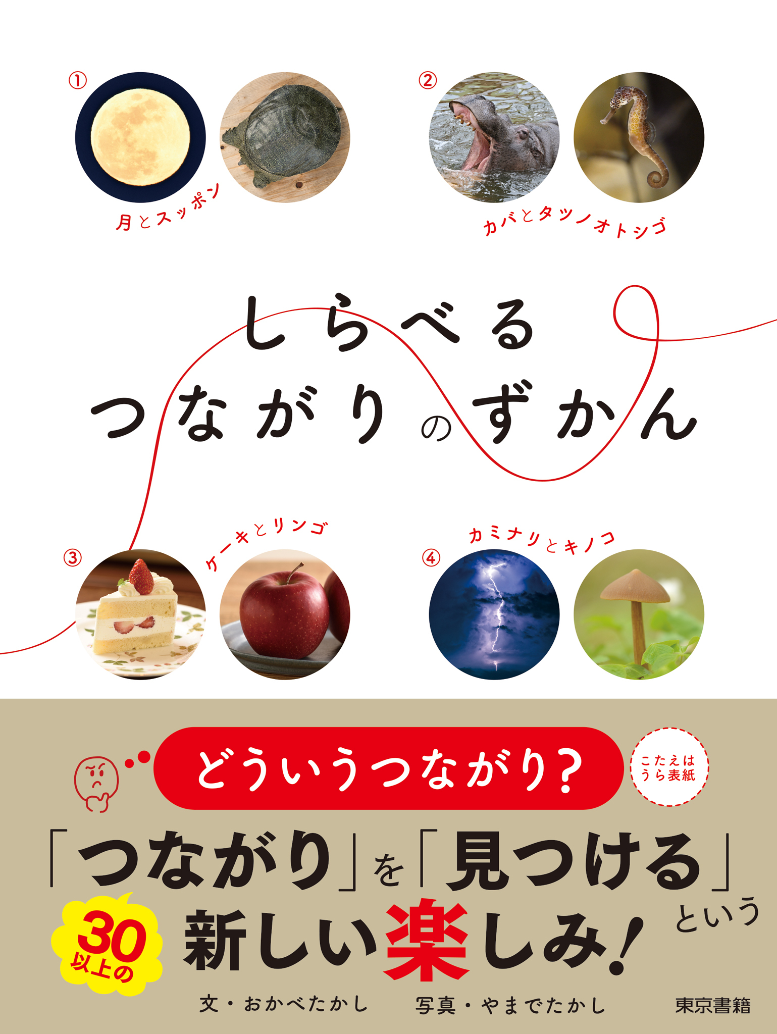 しらべるつながりのずかん