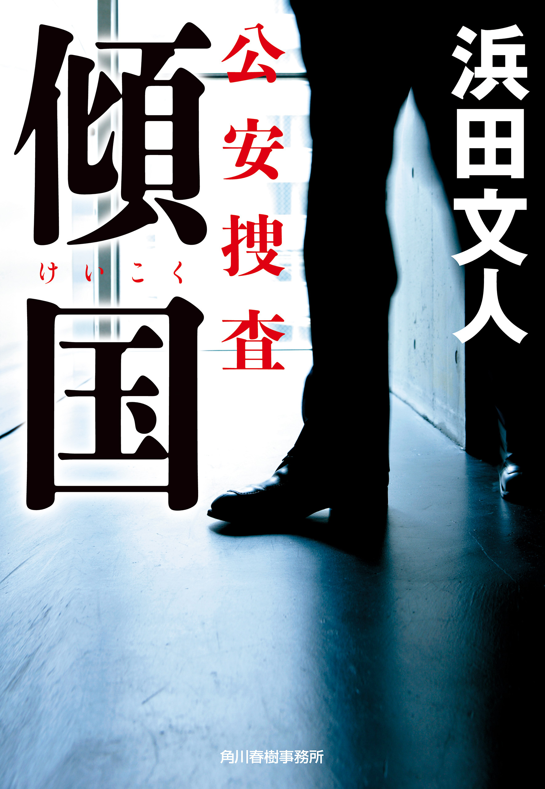 傾国　公安捜査