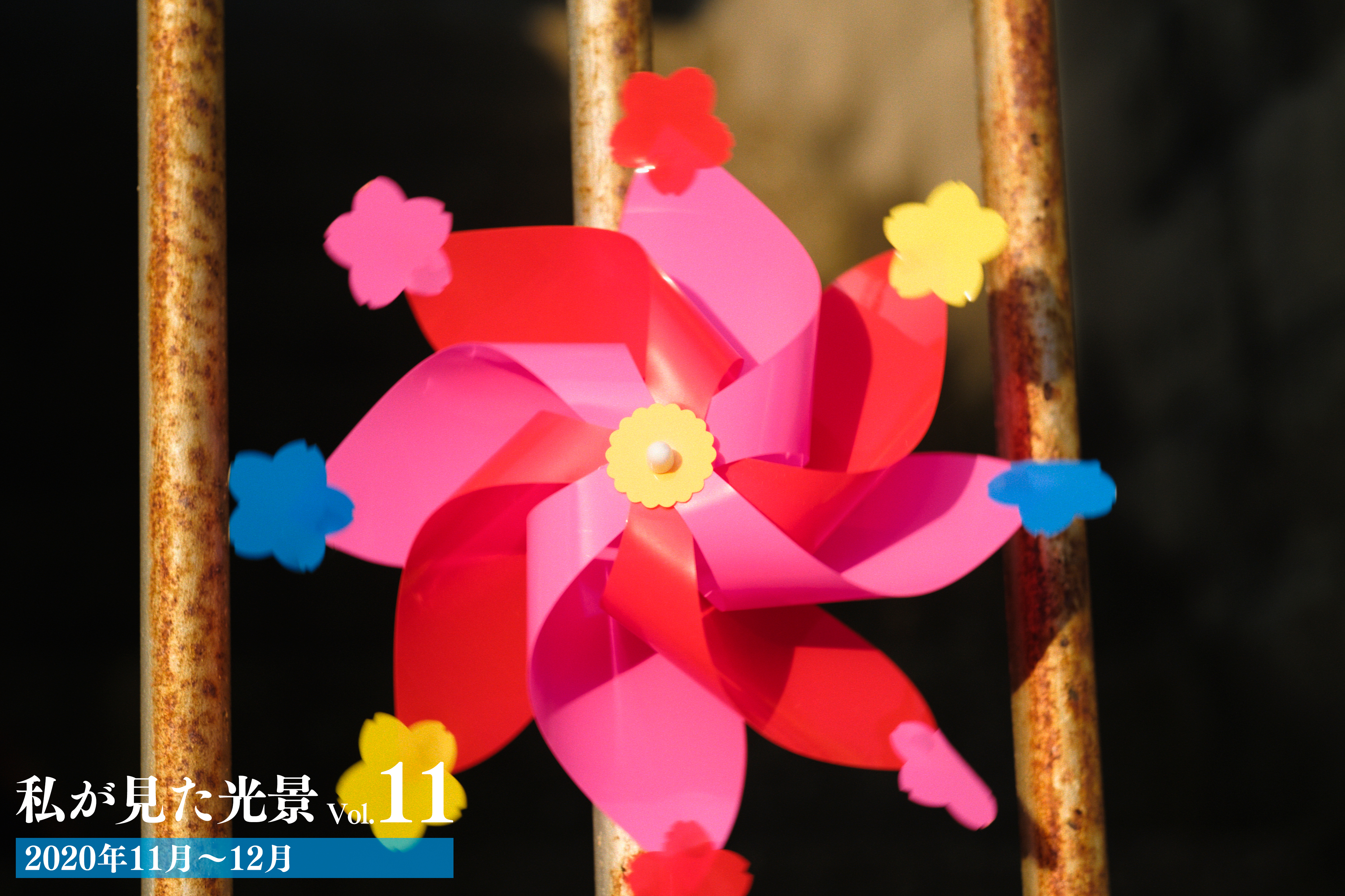 私が見た光景 vol.11 2020年11月～12月