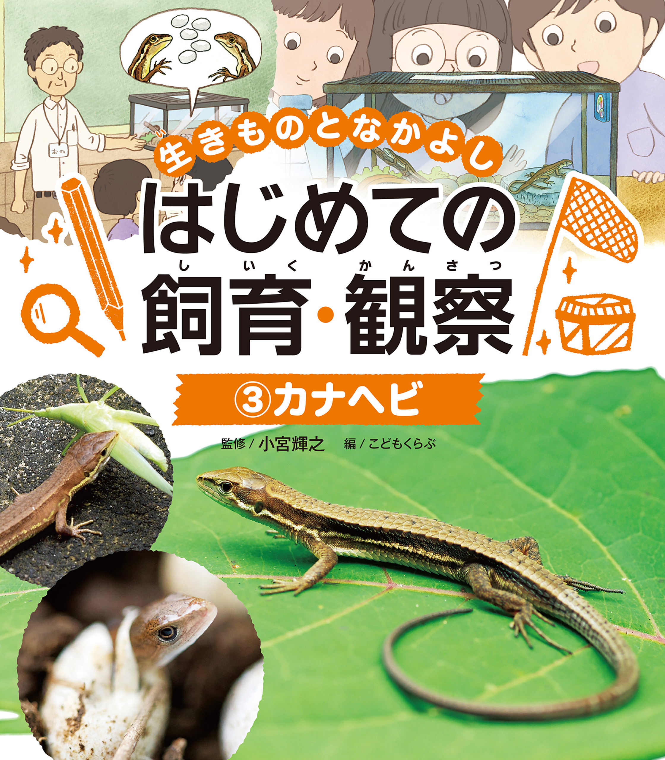 カナヘビ３　生きものとなかよし　はじめての飼育・観察