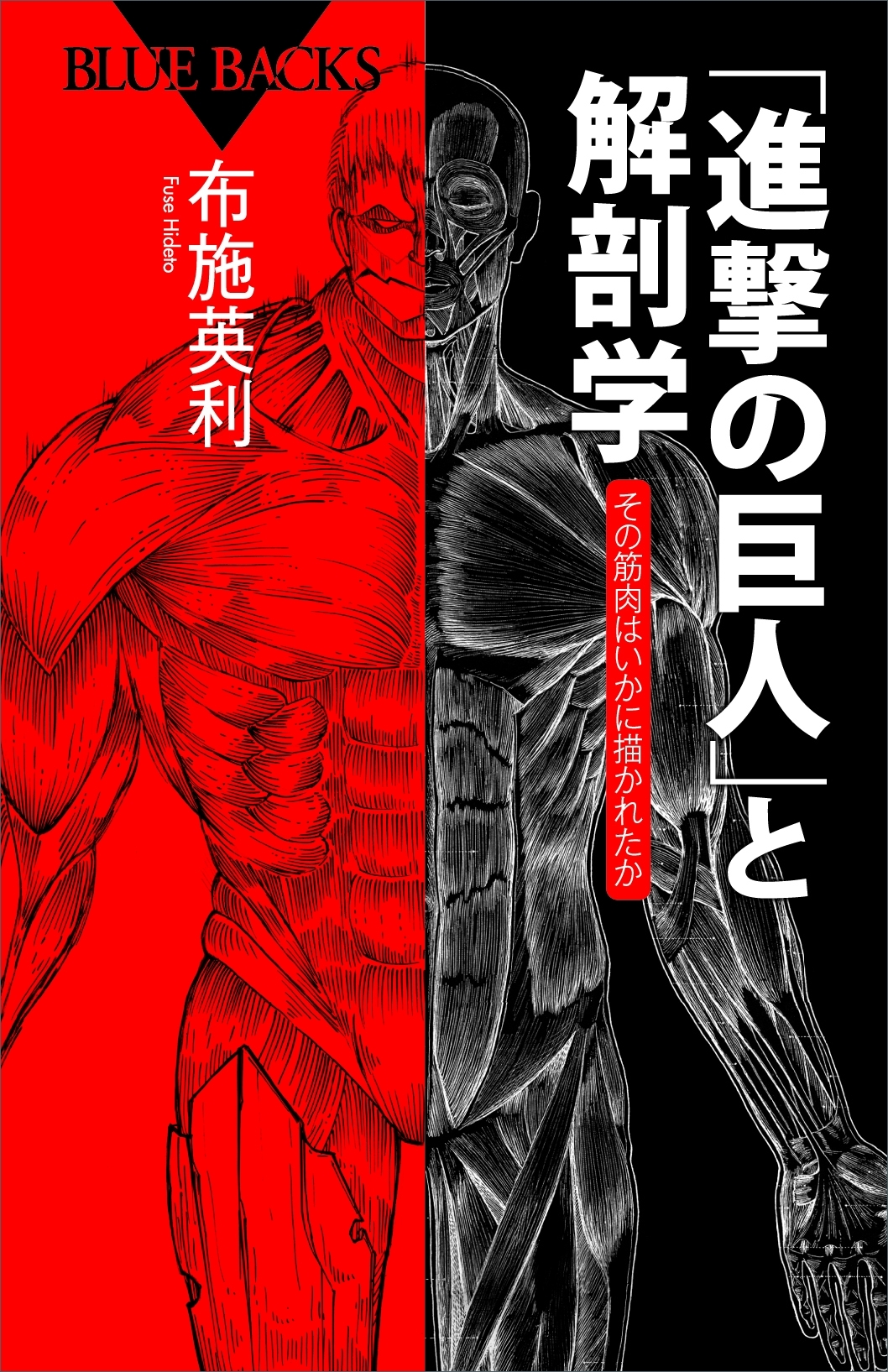 「進撃の巨人」と解剖学　その筋肉はいかに描かれたか