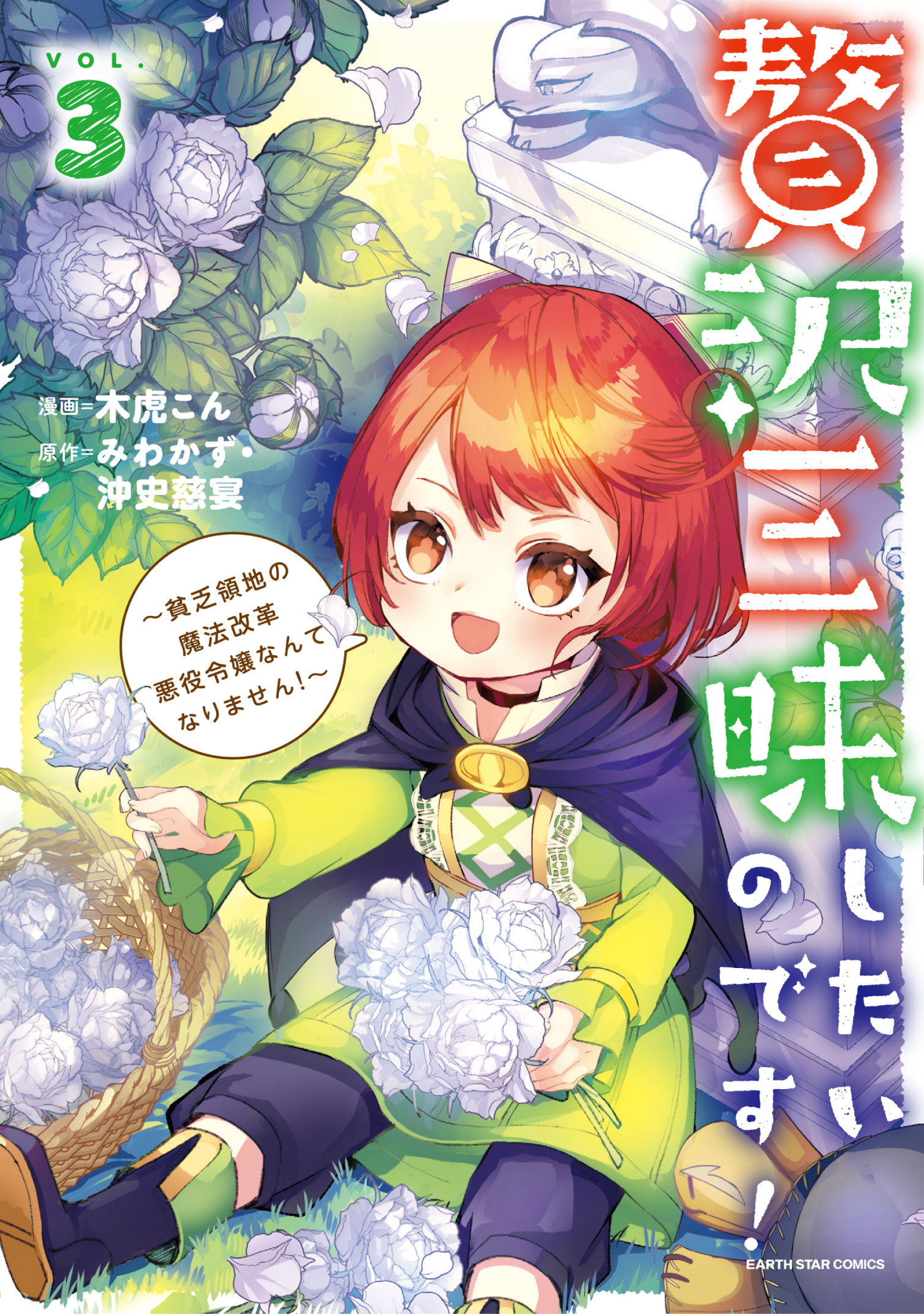 贅沢三昧したいのです！　～貧乏領地の魔法改革 悪役令嬢なんてなりません！～３