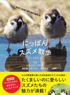 にっぽんスズメ散歩