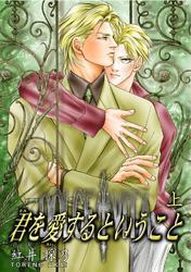 君を愛するということ　上