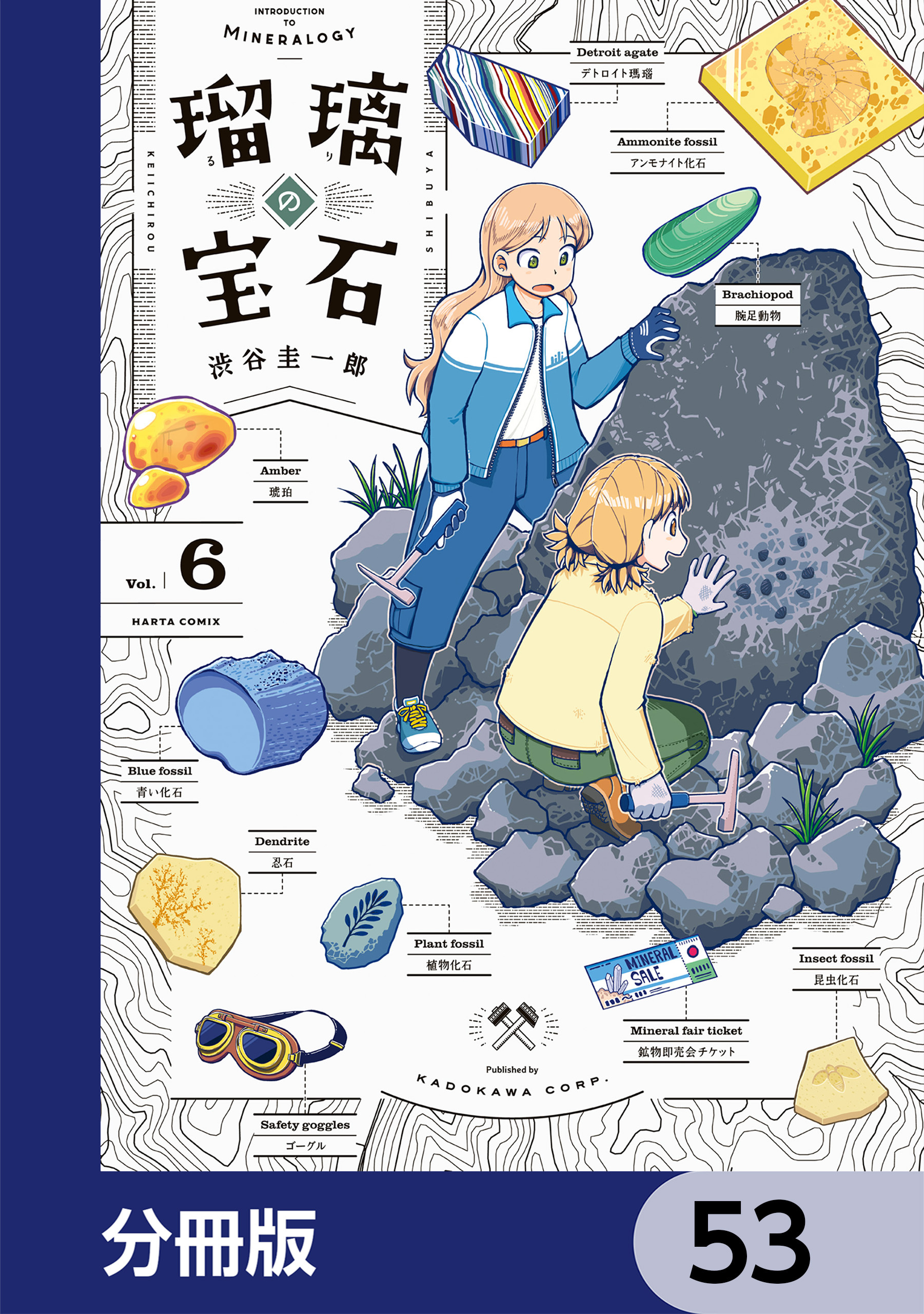 瑠璃の宝石【分冊版】　53