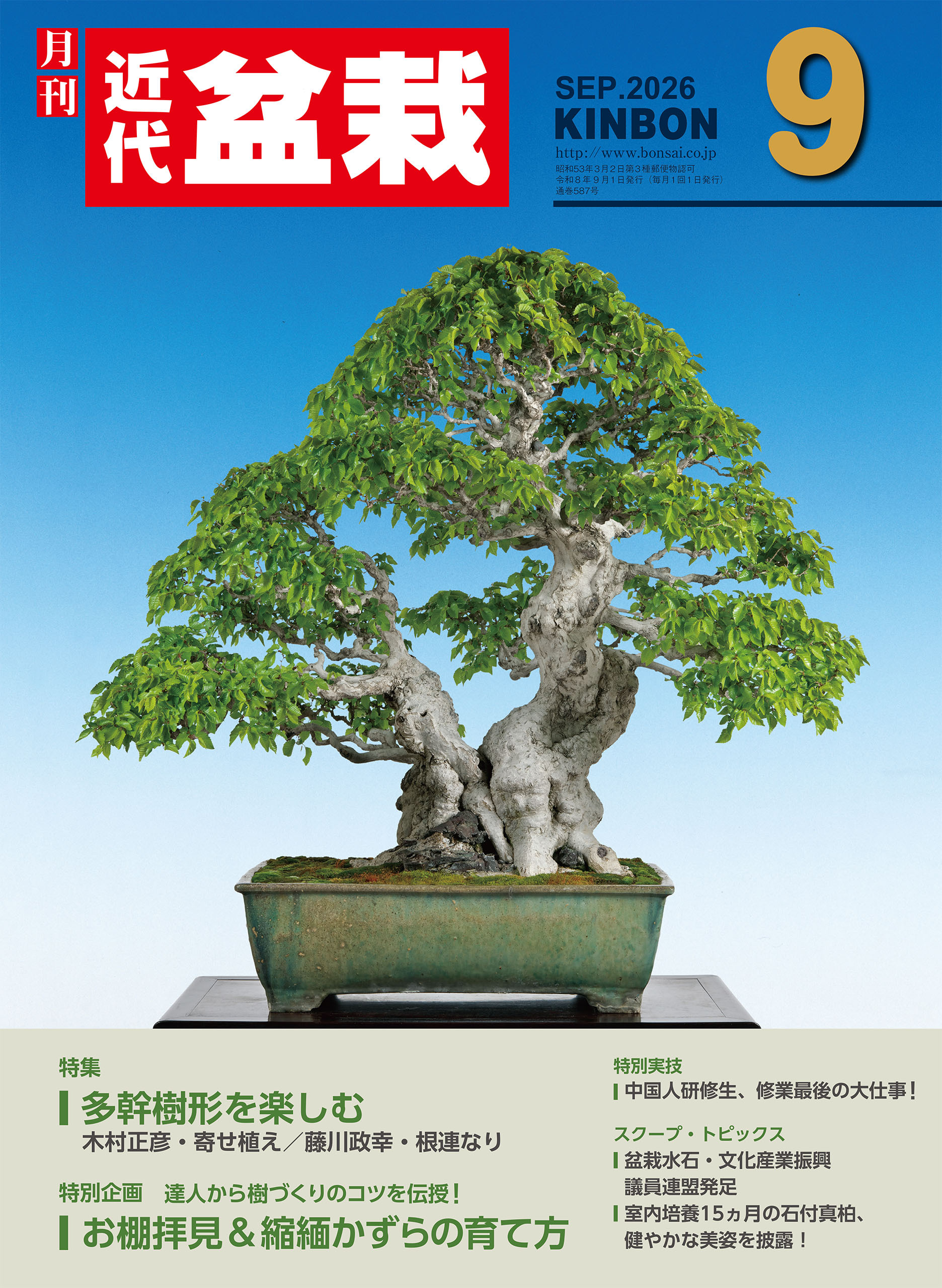 近代盆栽