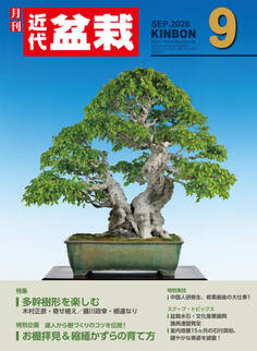 近代盆栽