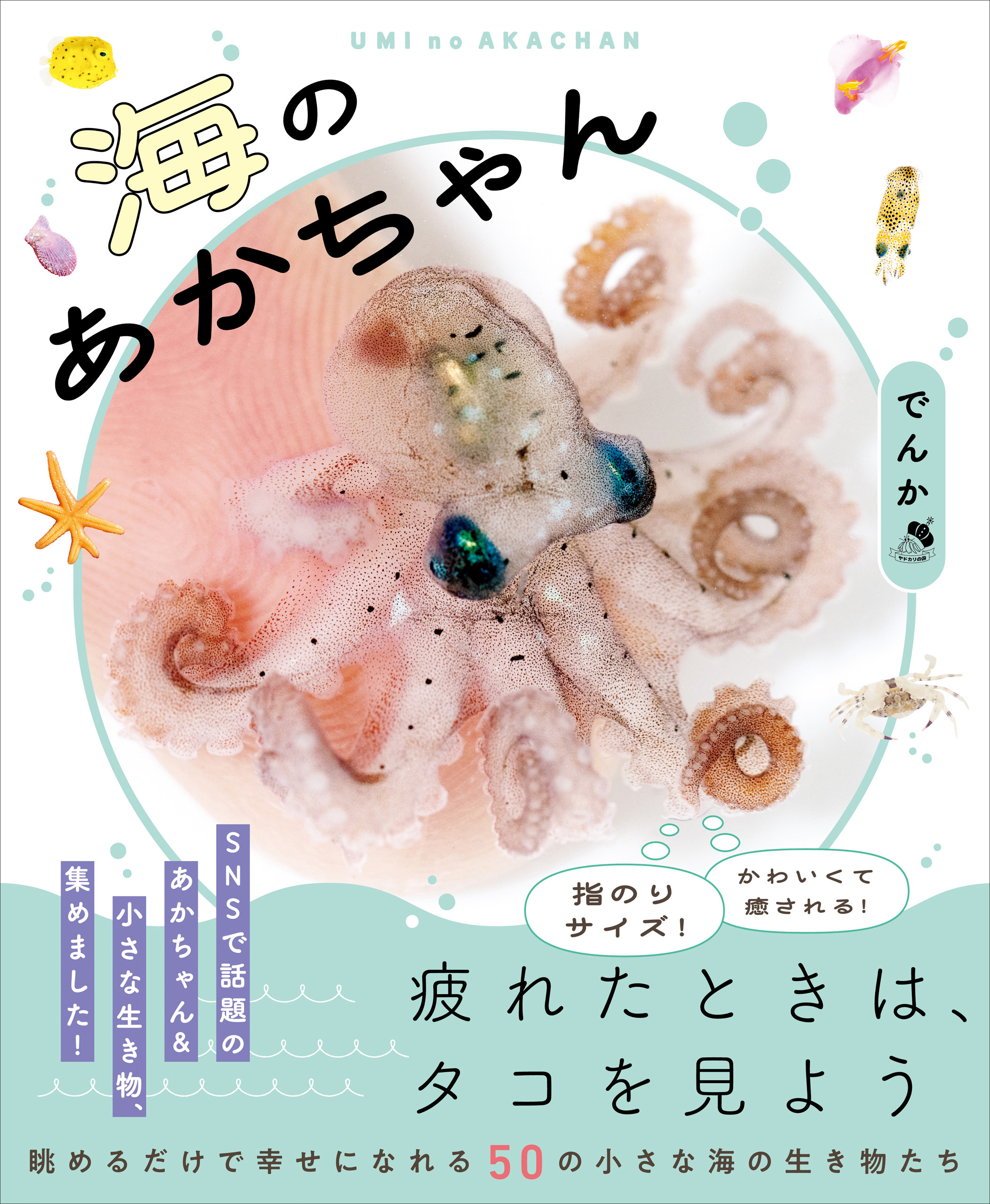 海のあかちゃん