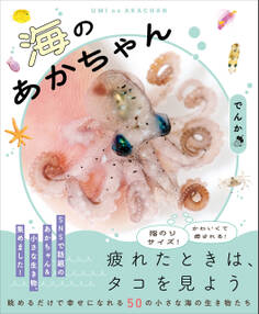 海のあかちゃん