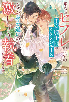 【期間限定 試し読み増量版】単なるセフレのはずの王宮騎士団のイケメンエースがなぜか身分違いの俺に激しく執着してきます