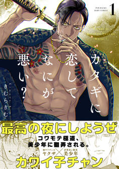 カタギに恋してなにが悪い?(1)