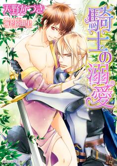 騎士の溺愛【小説&漫画収録】