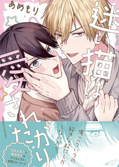 迷い猫は愛されたがり