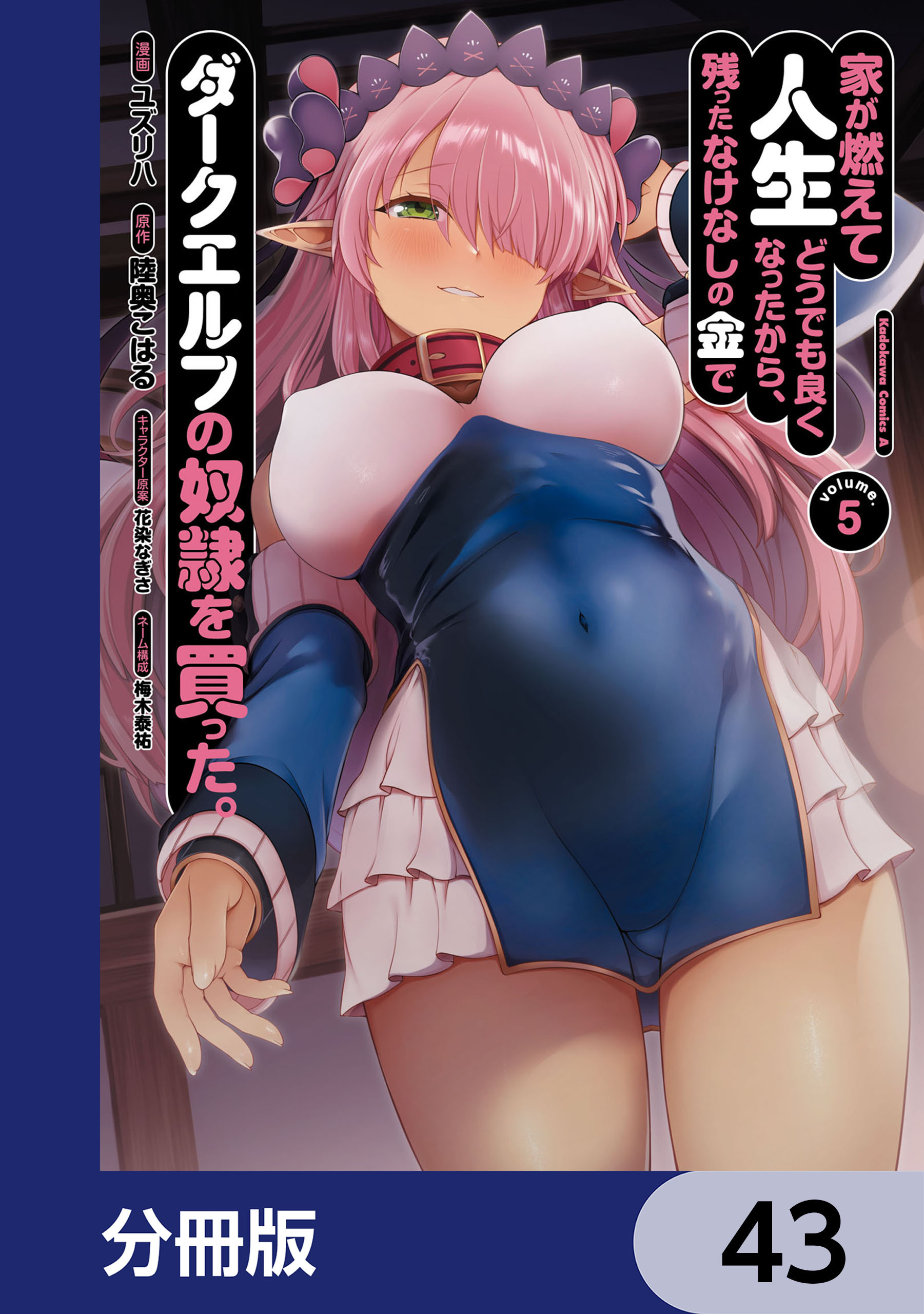 家が燃えて人生どうでも良くなったから、残ったなけなしの金でダークエルフの奴隷を買った。【分冊版】　43