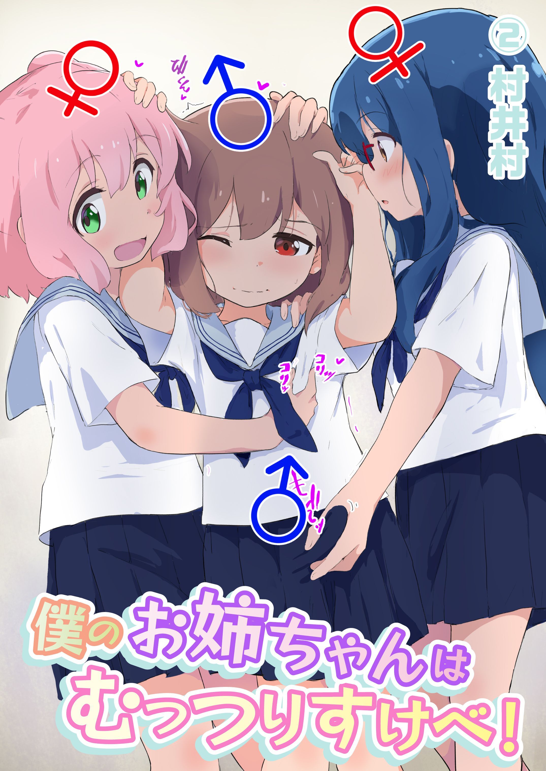 僕のお姉ちゃんはむっつりすけべ！！(2)