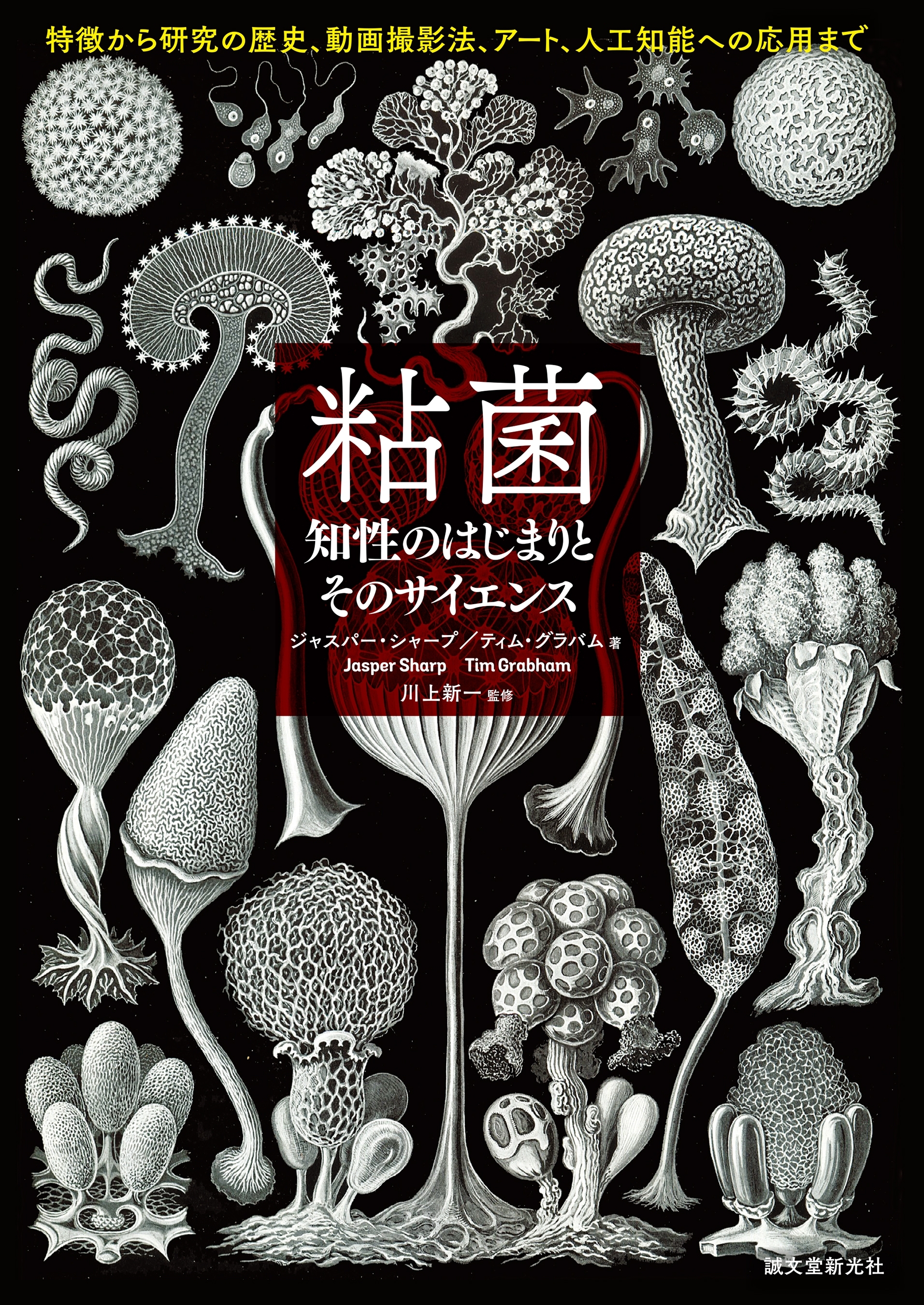粘菌 知性のはじまりとそのサイエンス
