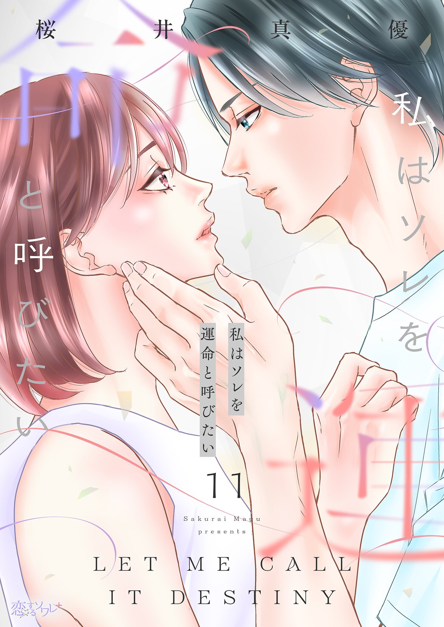 私はソレを運命と呼びたい 11