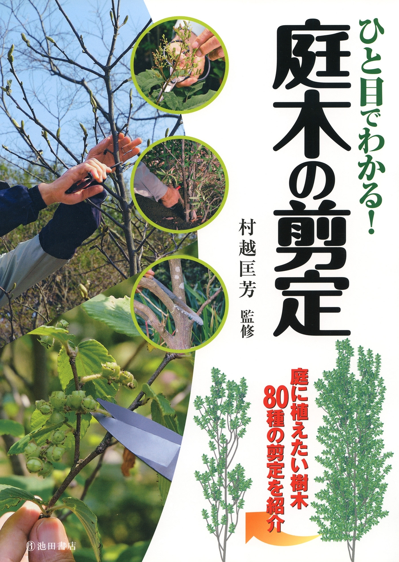 ひと目でわかる！ 庭木の剪定（池田書店）