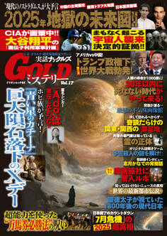 実話ナックルズGOLDミステリーvol.17