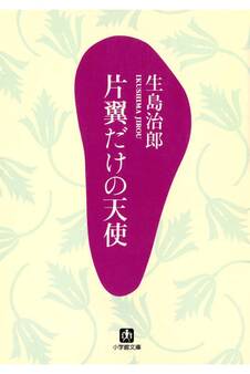 片翼だけの天使(小学館文庫)