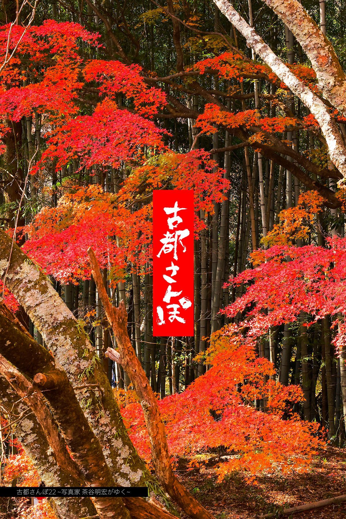 古都さんぽ22 ～写真家 茶谷明宏がゆく～