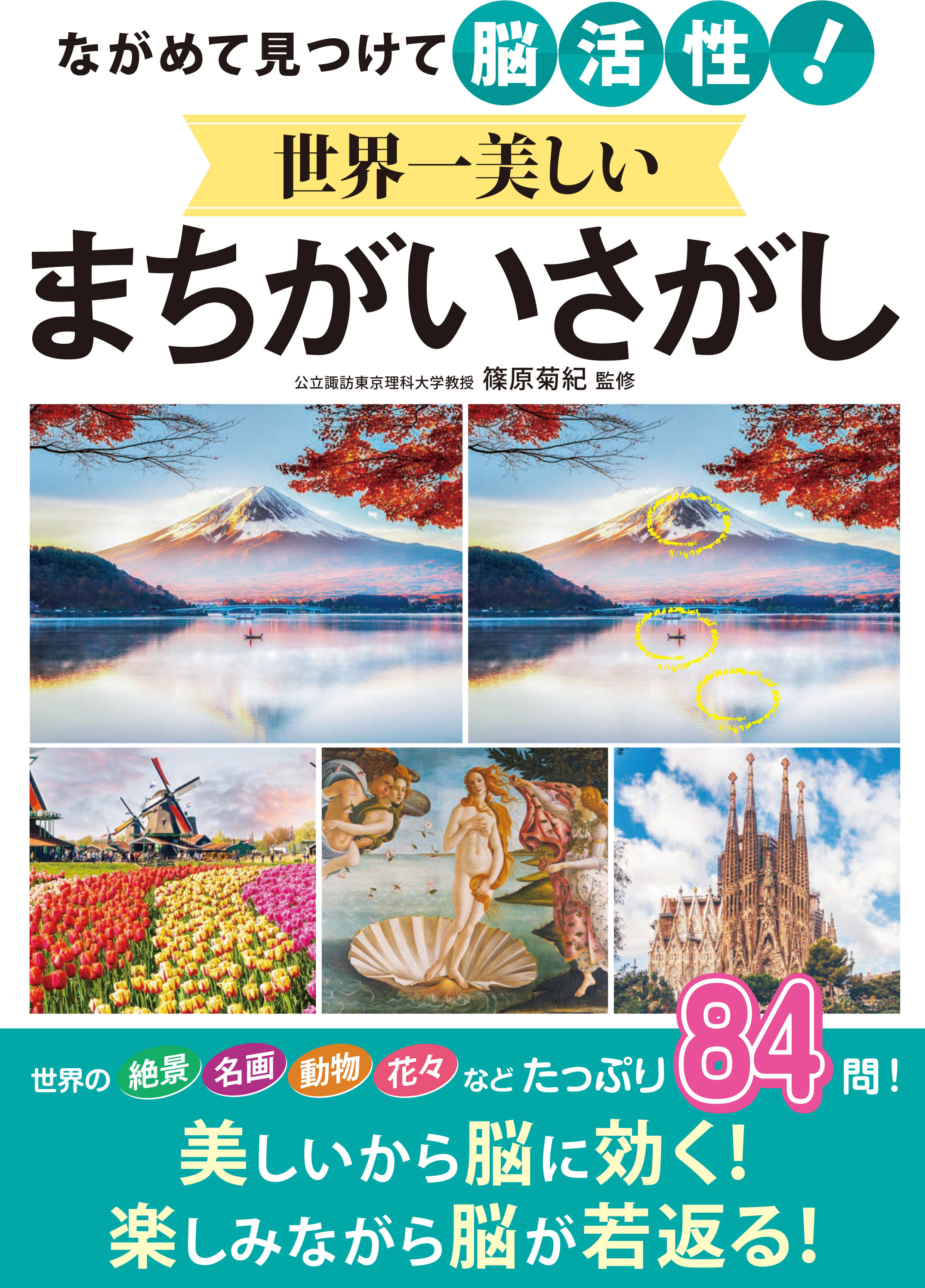 ながめて見つけて脳活性！世界一美しいまちがいさがし