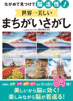 ながめて見つけて脳活性!世界一美しいまちがいさがし
