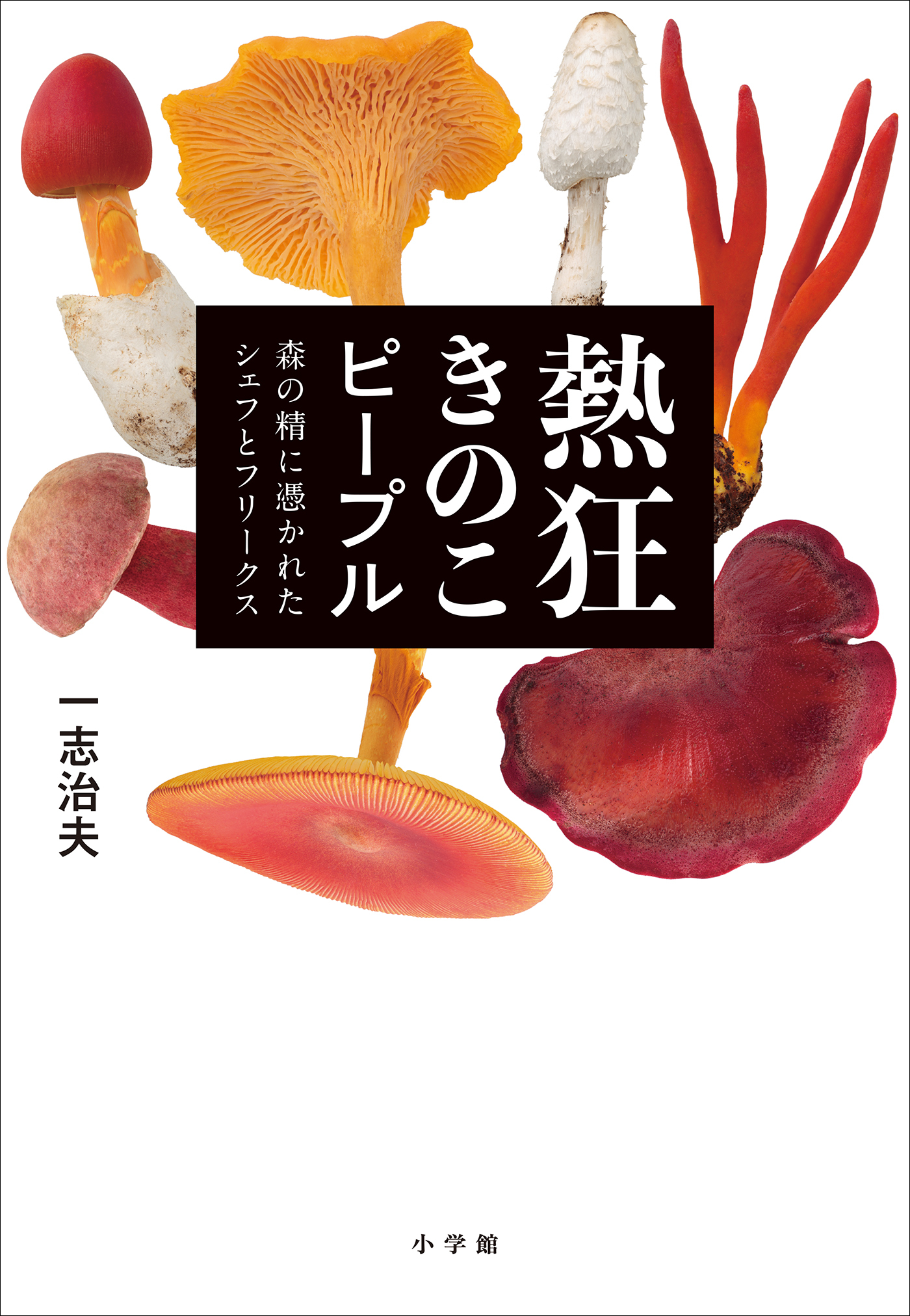 熱狂きのこピープル　～森の精に憑かれたシェフとフリークス～