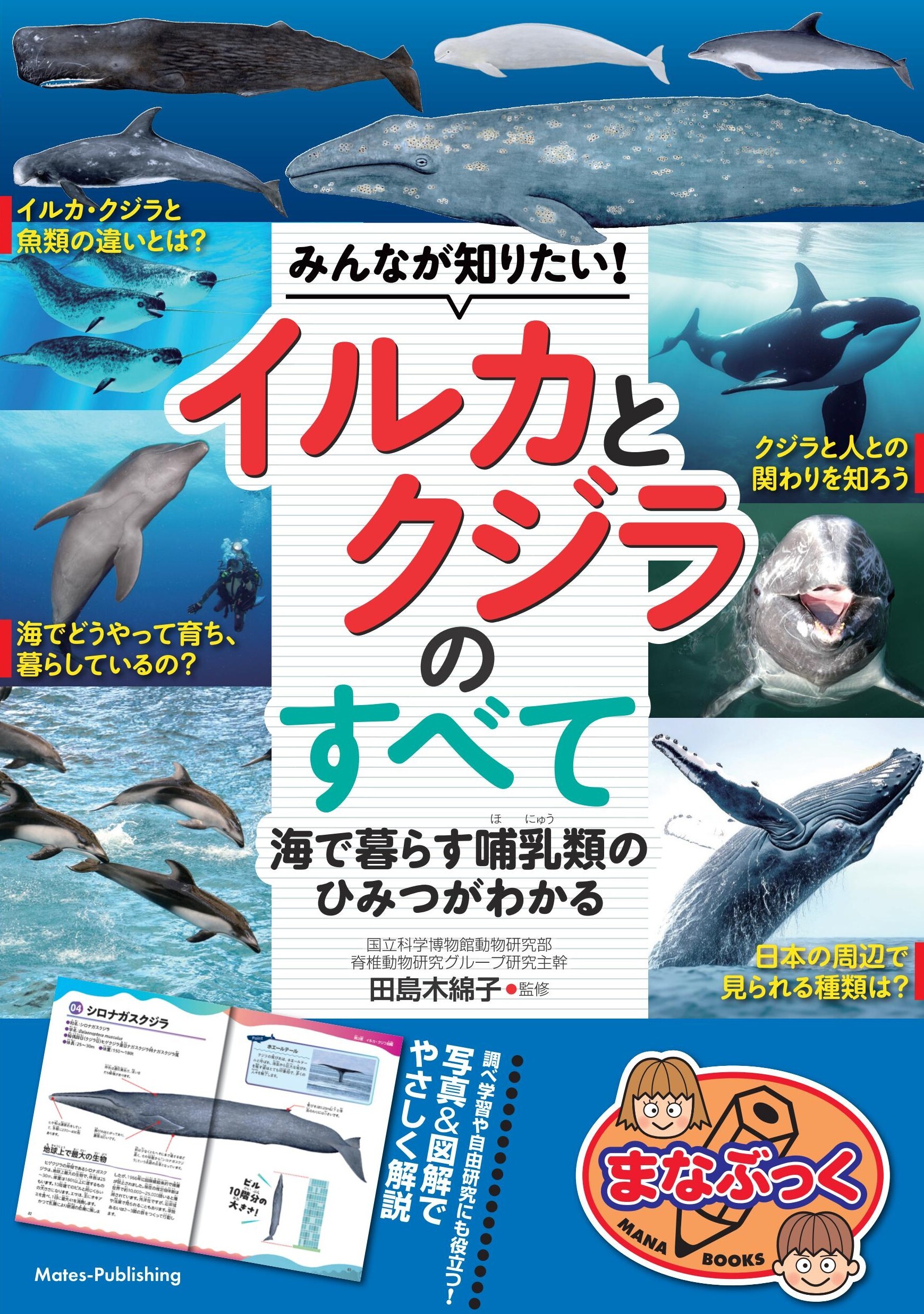 みんなが知りたい！ イルカとクジラのすべて 海で暮らす哺乳類のひみつがわかる