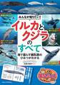 みんなが知りたい! イルカとクジラのすべて 海で暮らす哺乳類のひみつがわかる