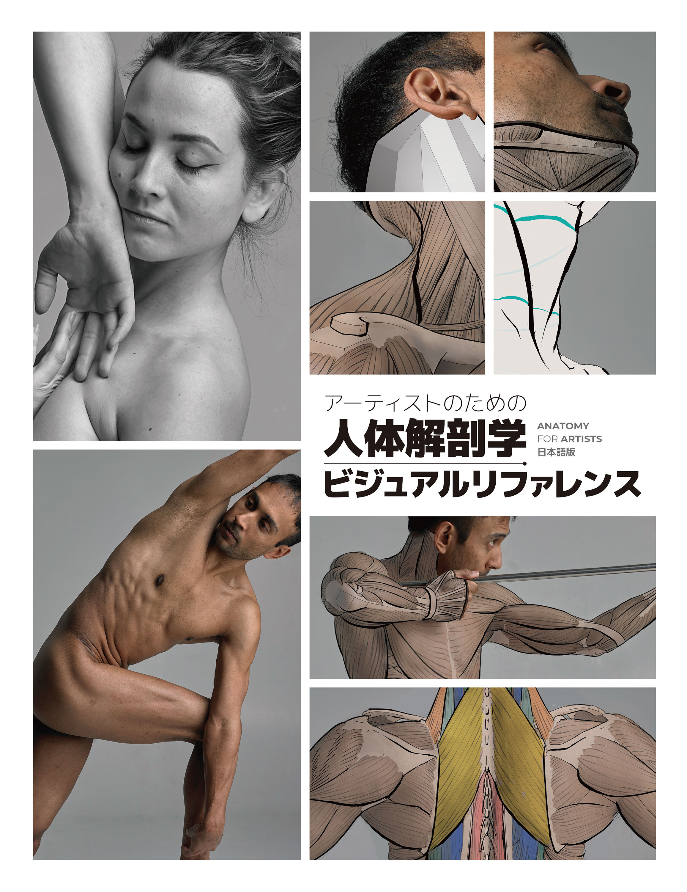 アーティストのための人体解剖学ビジュアルリファレンス