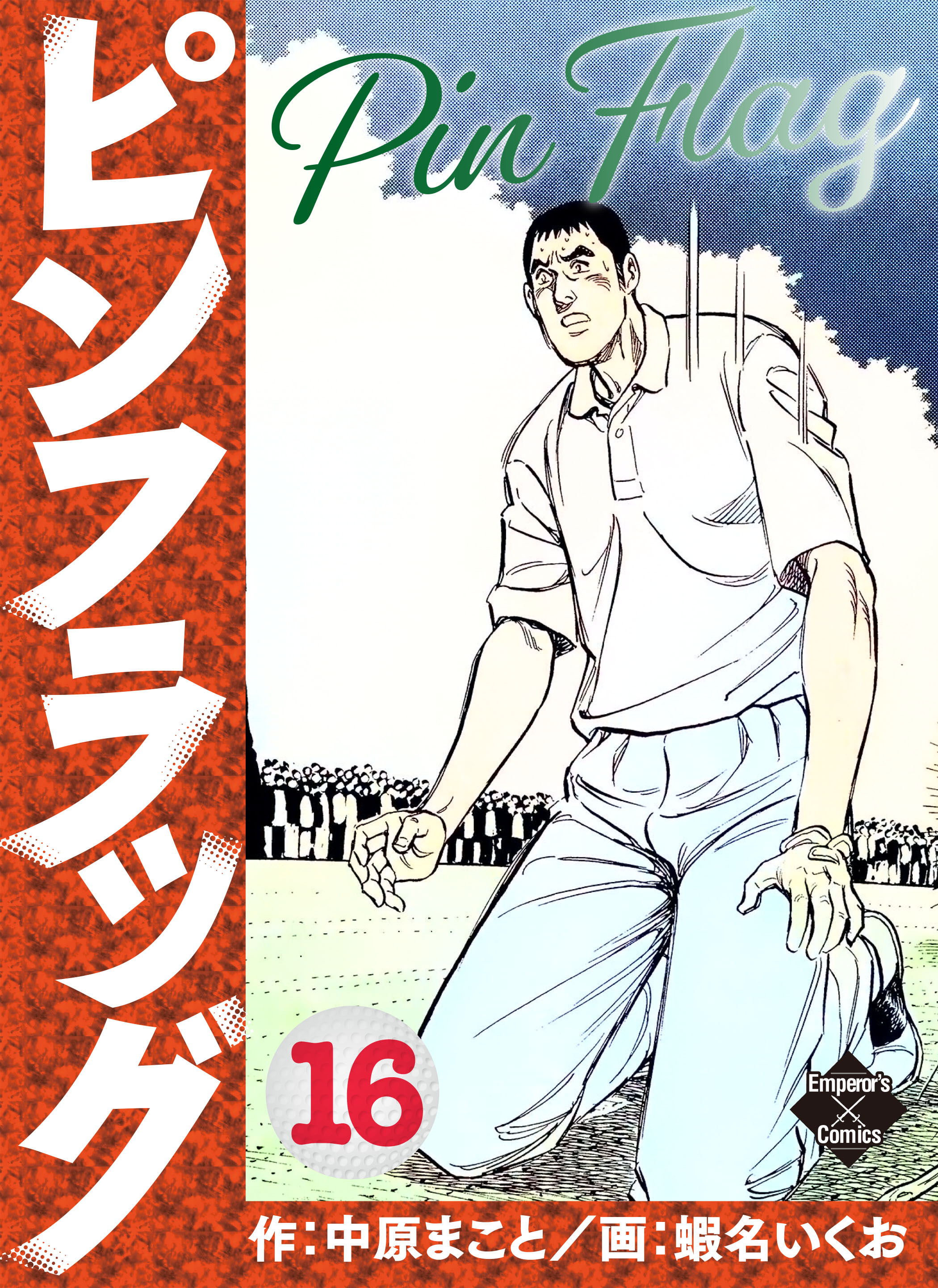 ピンフラッグ 16